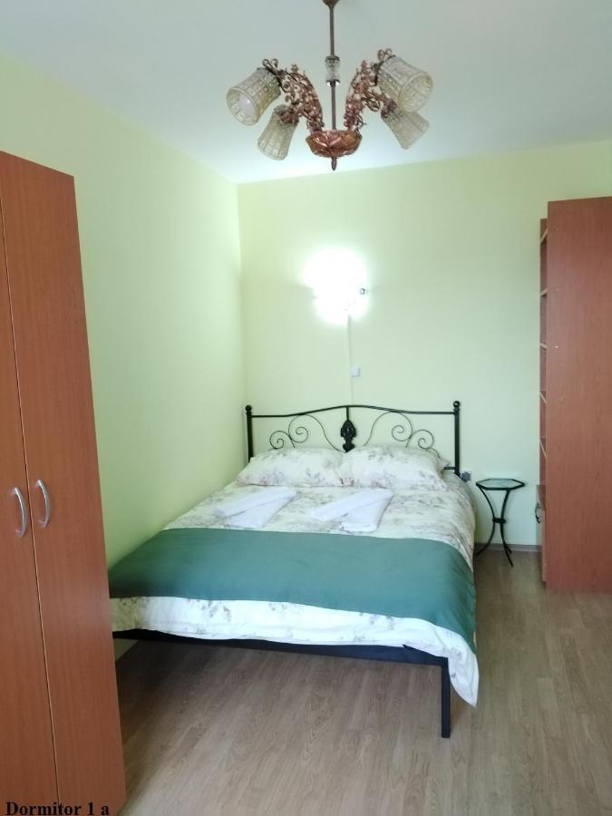 Apartament Salina Bulevard Alba Iulia Bagian luar foto