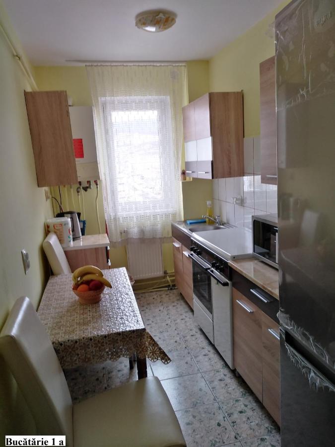 Apartament Salina Bulevard Alba Iulia Bagian luar foto