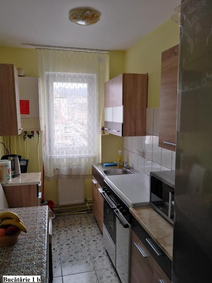 Apartament Salina Bulevard Alba Iulia Bagian luar foto